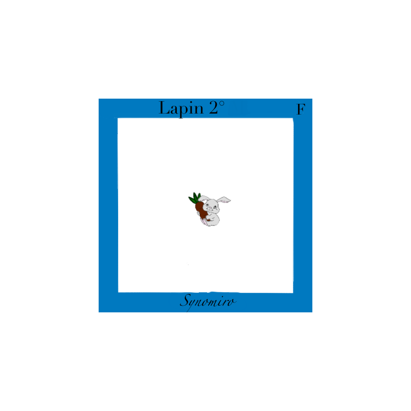 lapinou