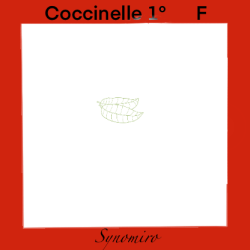 coccinelle