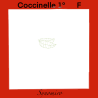 coccinelle