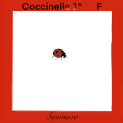 coccinelle