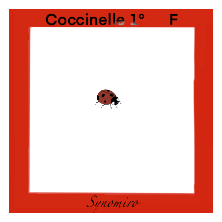 coccinelle