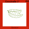 coccinelle