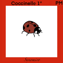 coccinelle