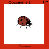 coccinelle