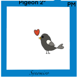 amour de pigeon