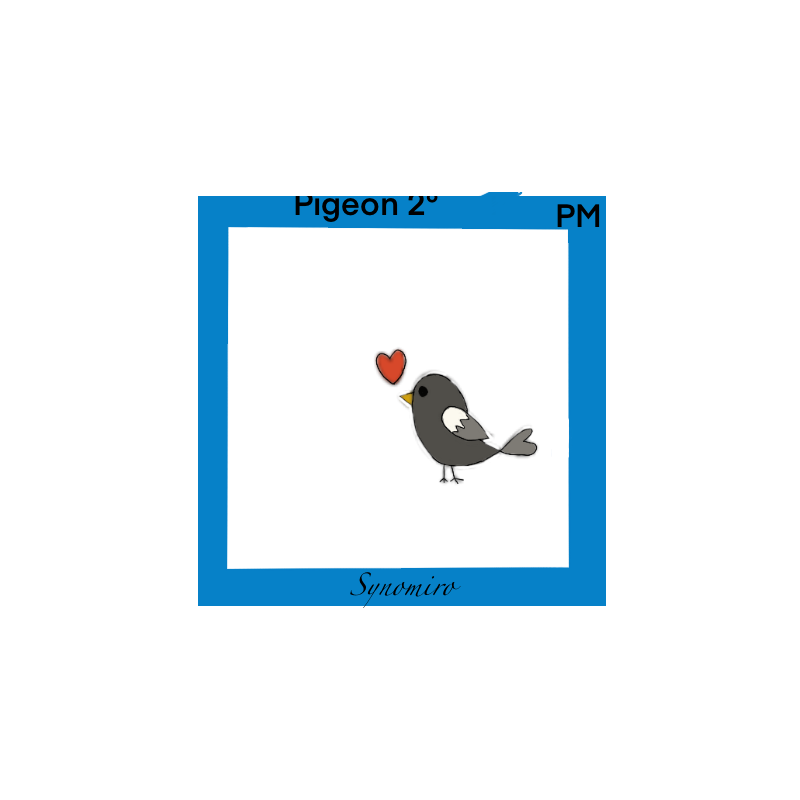 amour de pigeon