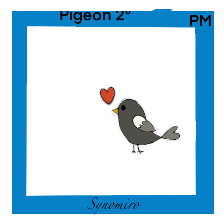 amour de pigeon