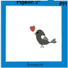amour de pigeon