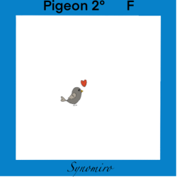 amour de pigeon