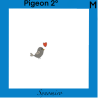amour de pigeon