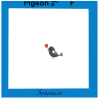 amour de pigeon