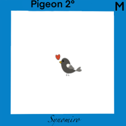 amour de pigeon