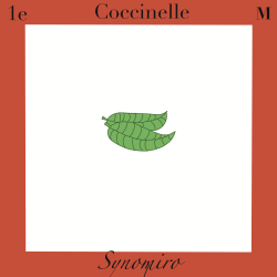 coccinelle