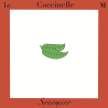 coccinelle