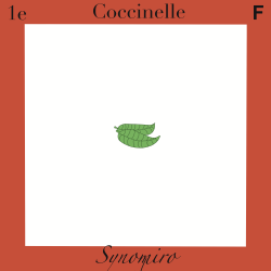coccinelle