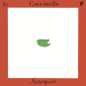 coccinelle