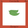 coccinelle