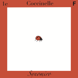 coccinelle