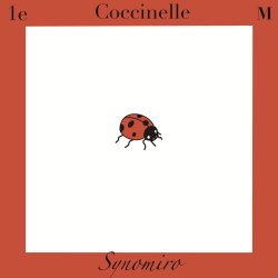 coccinelle