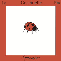 coccinelle