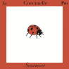 coccinelle