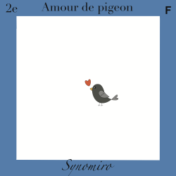 amour de pigeon