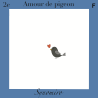 amour de pigeon