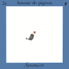 amour de pigeon