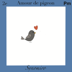 amour de pigeon