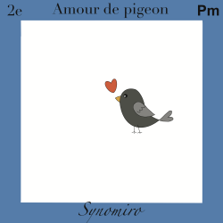 amour de pigeon