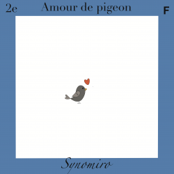 Amour de pigeon