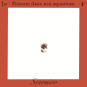 poisson dans son aquarium