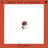 poisson dans son aquarium
