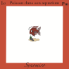 poisson dans son aquarium